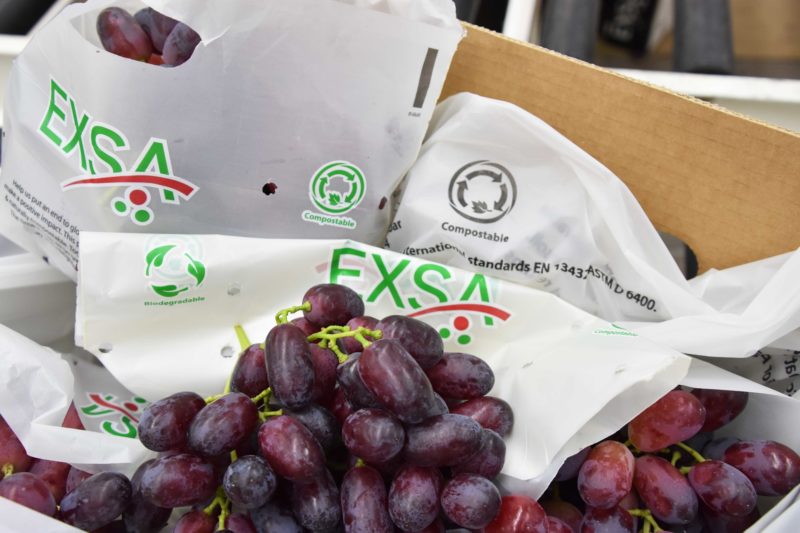 Exsa trials compostable inner packing material EXSA (PTY) LTD