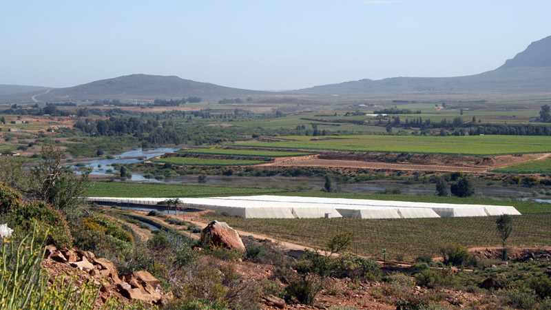 Olifants River Region