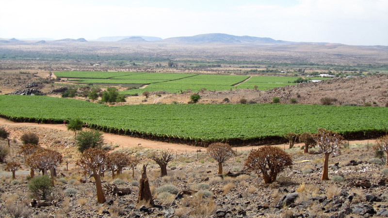 Orange River Region